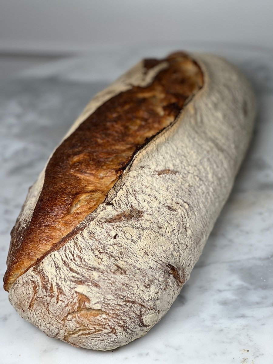 Vetelevain - Güntherska