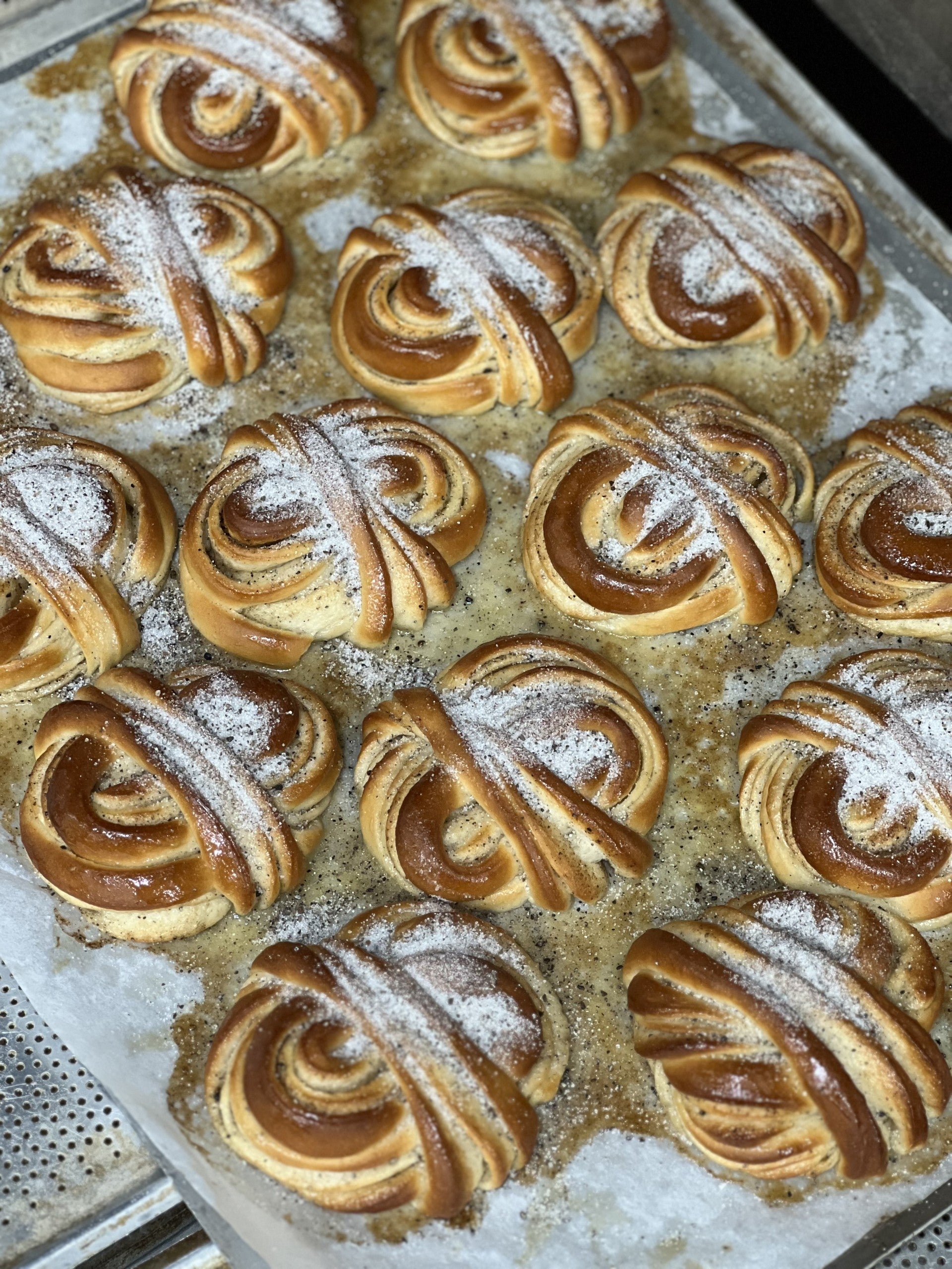 Bullar & längder - Güntherska